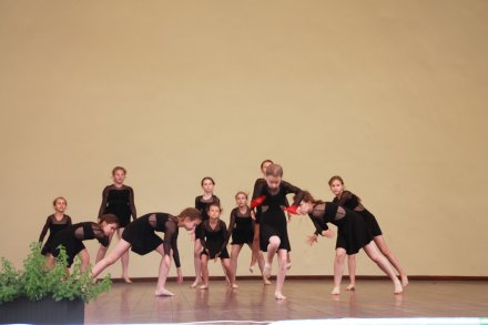 Uczestnicy pokazów tanecznych